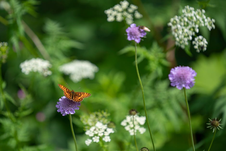 Solar Butterfly Lights For Garden