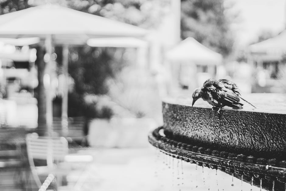 Solar Bird Bath Fountain Kit